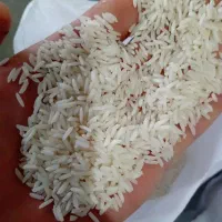 برنج دم سیاه