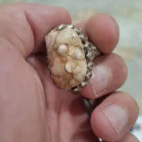 مهره سلیمانی و سلطانی
