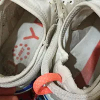 کفش|کیف، کفش، کمربند|کوهدشت, |دیوار