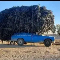 جمع آوری و خرید تیپ قطره‌ای از سر زمین