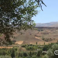 فروش-یک-قطعه-زمین-تجاری-بر-جاده-اصلی
