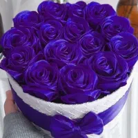 هر شاخه ای ۲۵ت