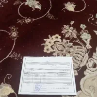 دوچرخه سالم تمیز|دوچرخه، اسکیت، اسکوتر|شاهین‌شهر, برخوار غرب|دیوار