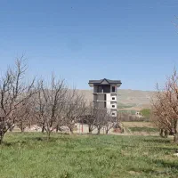 خانه-باغ-قاراوا-روبه-روی-کباب-ماهی-شانشین