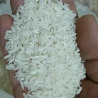 برنج خوشپخت کیفیت عالی