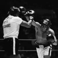 آموزش بوکس توسط مربی رسمی فدراسیون