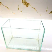 آکواریوم کوچک