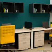 همکار خانم مسلط به کامپیوتر