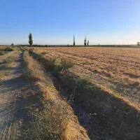 زمین زراعی آبی|فروش دفتر صنعتی، کشاورزی، تجاری|بشاریات, |دیوار