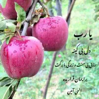 مفقودی انگشتر نقره