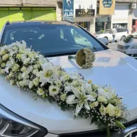 ماشین عروس،دسته گل ...