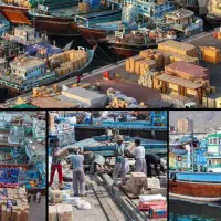 ثبت ملوانی در تجارت داخلی و انبار