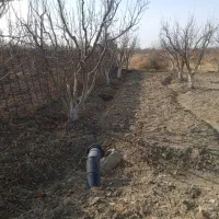 باغچه شهرکی