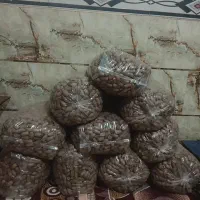 خرما سفید|عمده‌فروشی|بم, |دیوار