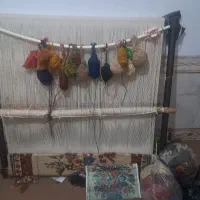 قالی زرونیم