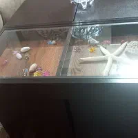 میز جلومبلی همراه دوعسلی