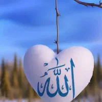 سیم کارت ۱۹۱۸۶۱۱