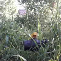 فروش باغ شبستر وایقان