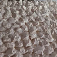 کشک