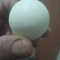 الماس الکساندریت