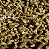 کنجاله کلزا