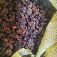 کشمش کاشمر،ملایر،ملکان،محلی ،خرما وخمیرخرما