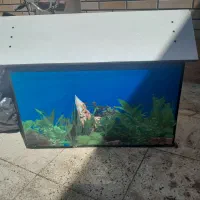 اکواریوم‌بزرگ