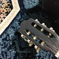 گیتار|گیتار، بیس، امپلیفایر|شاهین‌شهر, شهرک گلدیس|دیوار