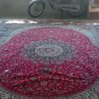 فرش ۱۲متری|فرش|اراک, |دیوار