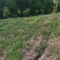 باغ کشاورزی|فروش دفتر صنعتی، کشاورزی، تجاری|آذرشهر, |دیوار