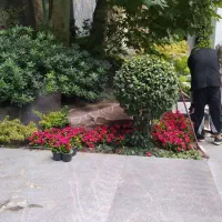 نیروی خدمات