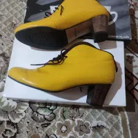 کفش چرم نو|کیف، کفش، کمربند|شیراز, سفیرشمالی|دیوار