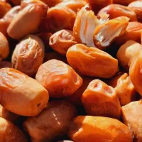 خرمای زاهدی