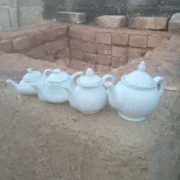 قوزی موجودشد