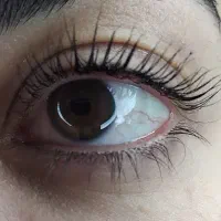 اکستنشن و لیفت مژه و ابرو|خدمات آرایشگری و زیبایی|قم, انسجام|دیوار
