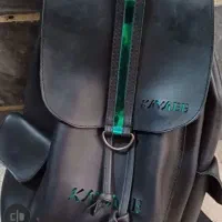 یک کیف و دو کولی