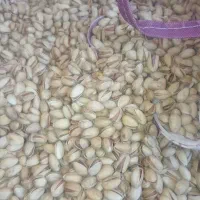 پسته|خوردنی و آشامیدنی|رشتخوار, |دیوار