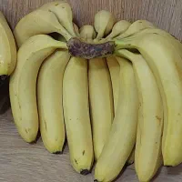 موز|خوردنی و آشامیدنی|قم, گلزار|دیوار