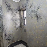 پتینه کاری و نقاشی اجرای میکروسمنت بازسازی|خدمات پیشه و مهارت|لار, |دیوار