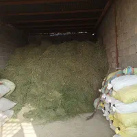 یونجه یا علوفه 26هزارتومان|حیوانات مزرعه|اصفهان, طاحونه|دیوار