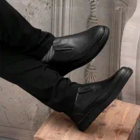 کفش مردانه و زنانه|کیف، کفش، کمربند|برازجان, |دیوار