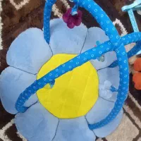 خانه گل|اسباب و اثاث بچه|قم, ژاندارمها|دیوار