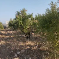 باغشهری(باغ شهری) کنتور آب و برق ۲۴ ساعته دارنگون|فروش زمین و ملک کلنگی|شیراز, تلخ داش|دیوار