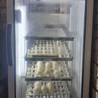 فروش دستگاه جوجه کشی  و تخم نطفه دار بوقلمون