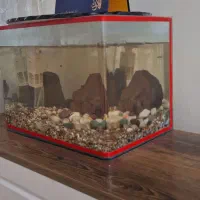 آکواریوم|ماهی|نسیم‌شهر, |دیوار