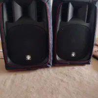 باند زیکو w17