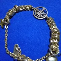 پلاک دست استیل مردانه و ست کارتیه|بدلیجات|اصفهان, آبشار|دیوار