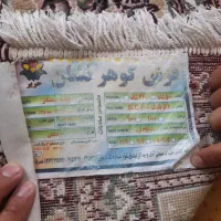 فرش و یک عدد بوفه