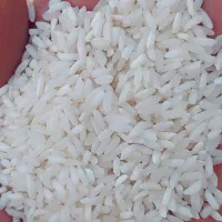 برنج چمپا خیجه درجه ۱