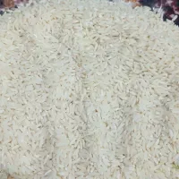برنج دورود لرستان